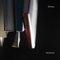disk01