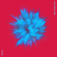 disk01